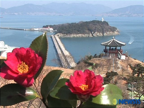 싱글벙글여행사 이미지