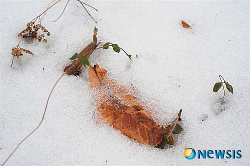 겨울과봄사이 이미지