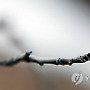 "봄을 보다"