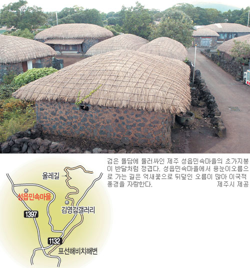 삼다도 이미지