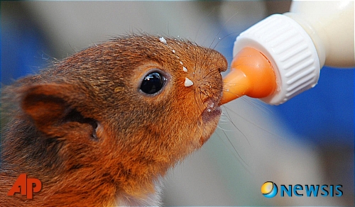 안철수씨 부친 안영모 원장 부산 범천의원 48년 이야기 | 인스티즈