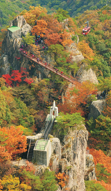 만나세 이미지