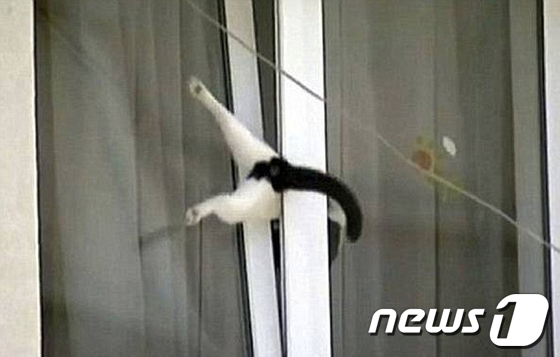 소근소근 이미지