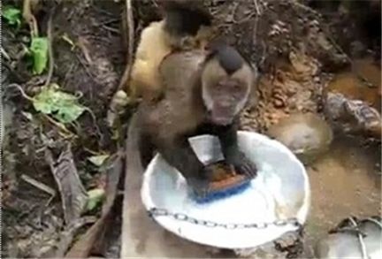 더솜씨 이미지