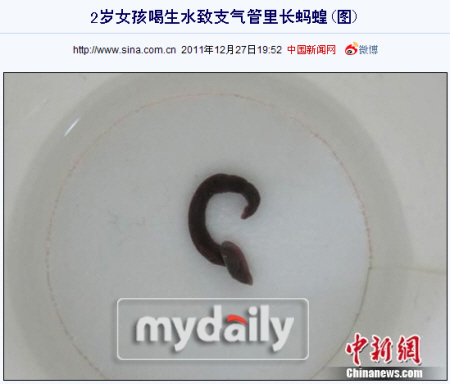 냇물 이미지