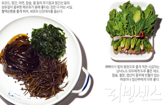 최고밥상 이미지