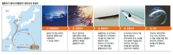 풍천민물장어구이집 이미지