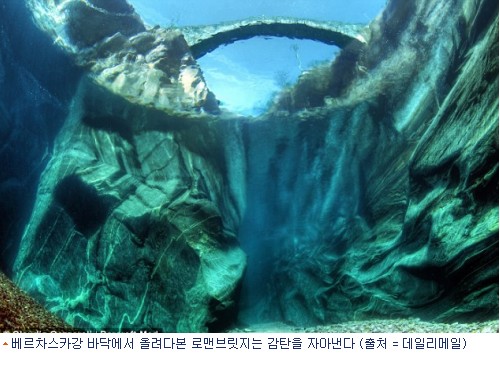 맑은다리 이미지