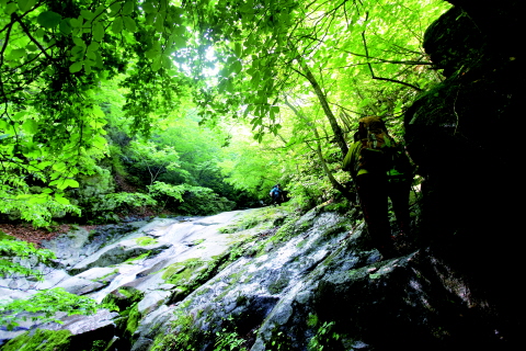general_image