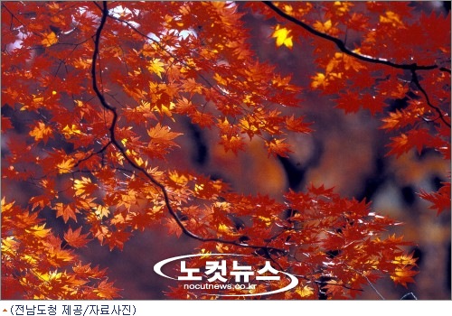 여행가 이미지