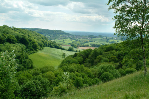 general_image