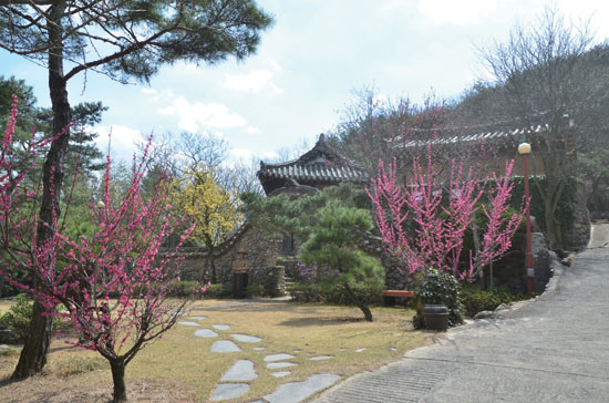 general_image