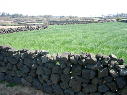 general_image