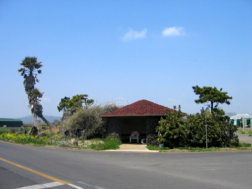 general_image