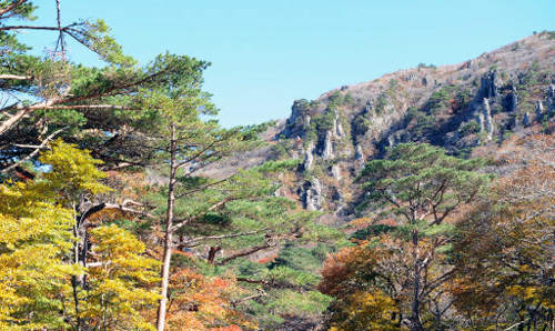 general_image