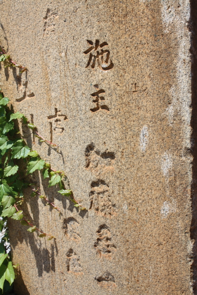 general_image