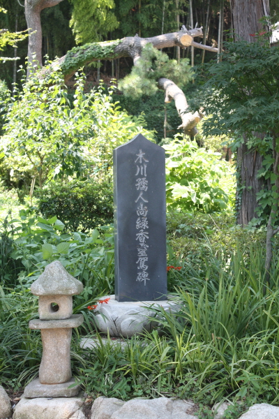 general_image