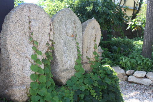 general_image