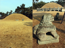 general_image