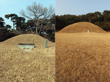 general_image