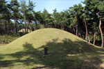 general_image