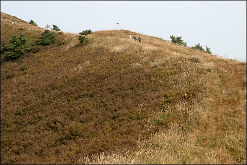 general_image