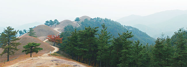 general_image
