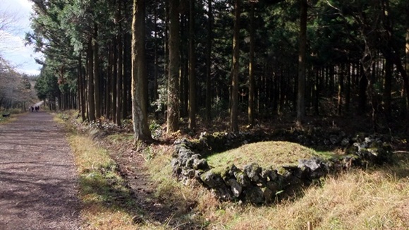 general_image
