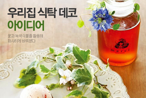 오늘의 포커스