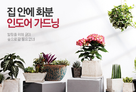오늘의 포커스