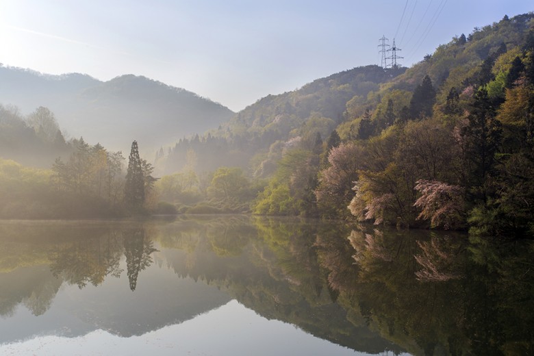 화순라이프 이미지