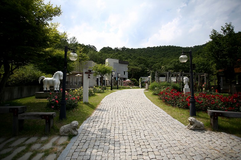 화순라이프 이미지