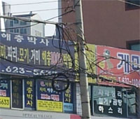 이상한 동거 ㅋ