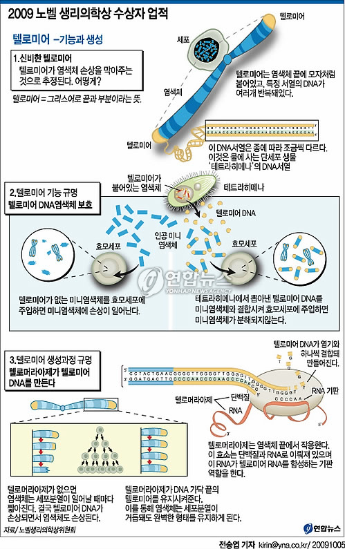 >그래픽< 2009 노벨 생리의학상 수상자 업적