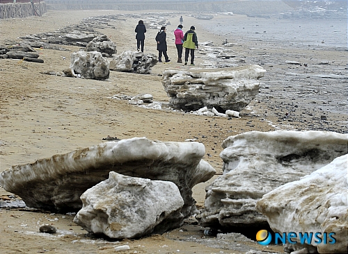 떠밀려온 해안가 유빙