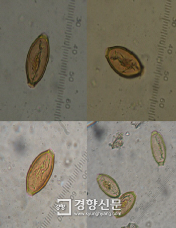 [이기환의흔적의역사] 백제 화장실에서 맡는 인간의 냄새 | 인스티즈