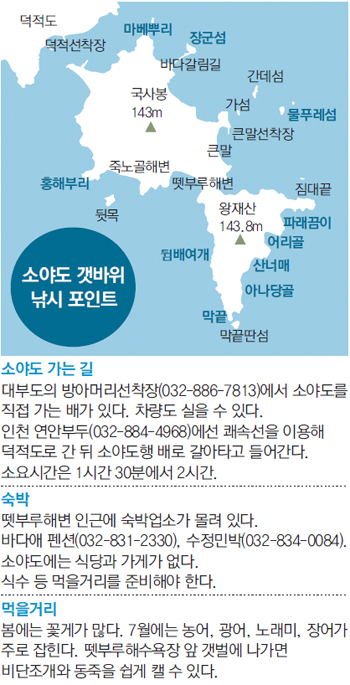 [수도권/지금 그 섬에선]>4< 인천 소야도