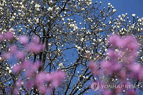 이레봄 이미지