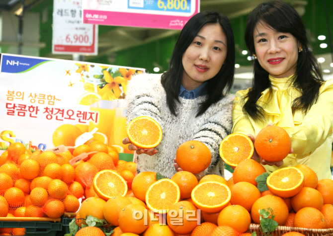 오렌지유통 이미지