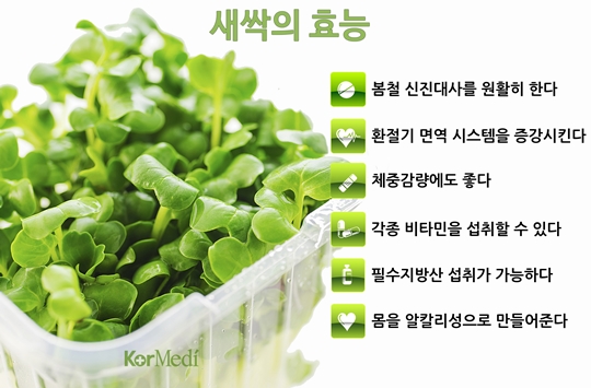 새싹나라 이미지