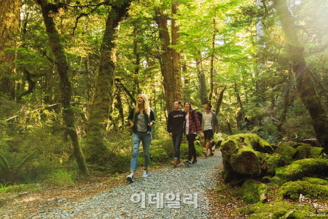 청정한 뉴질랜드 이미지