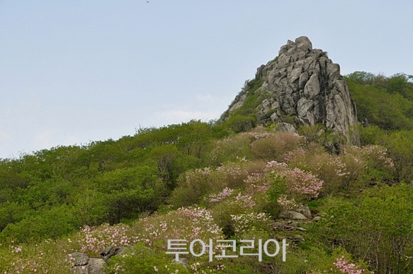 물소리바람소리 이미지