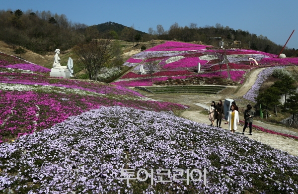 꽃가야 이미지