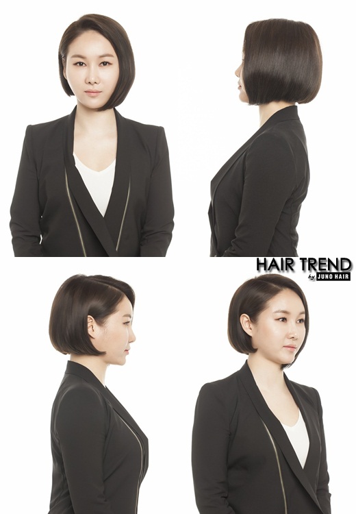 시크초이스 이미지