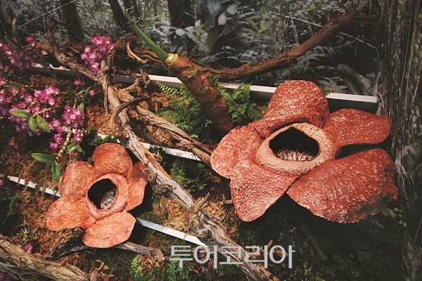 행복한세계로 이미지
