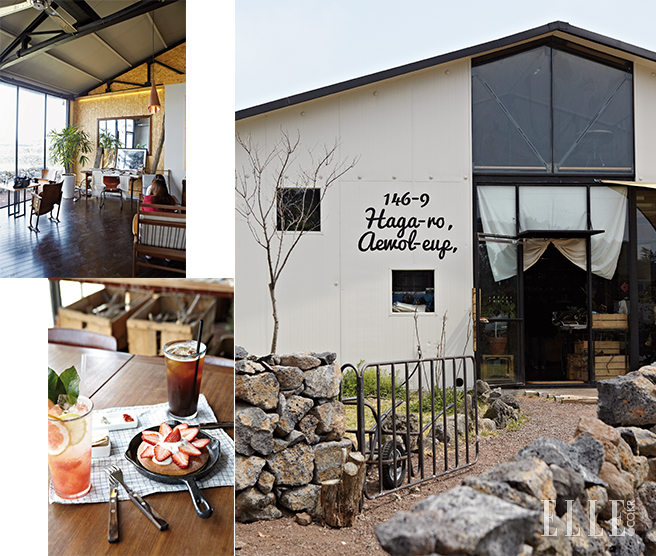 济州岛的美食坊探寻之旅   