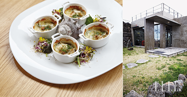 济州岛的美食坊探寻之旅   