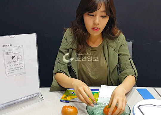 얼린토마토 이미지