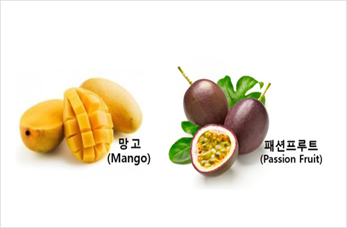 칠성패션 이미지