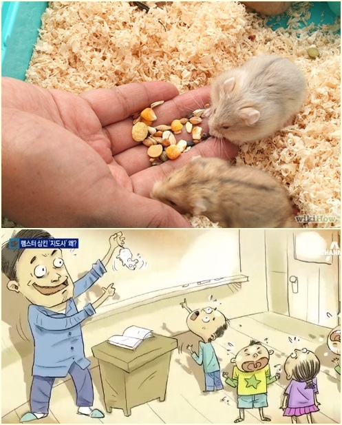 꿀꺽 이미지